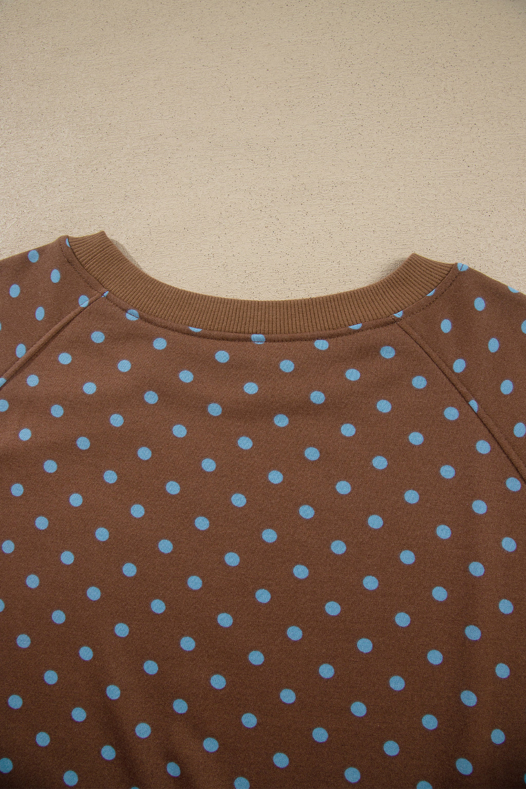 Brown Polka Dot Round Neck Long Sleeve Plus Size Set